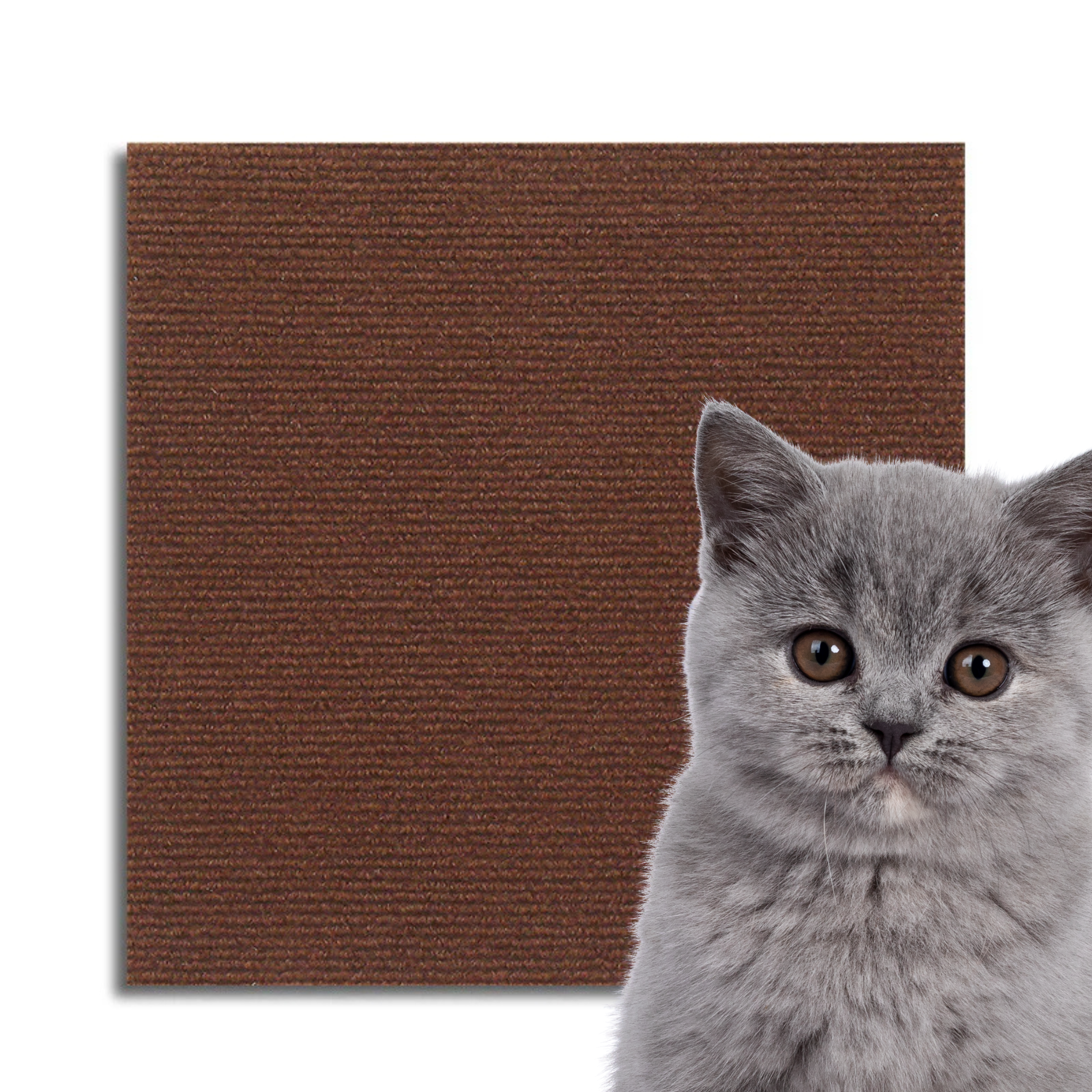 Universal Cat Scratch Guard