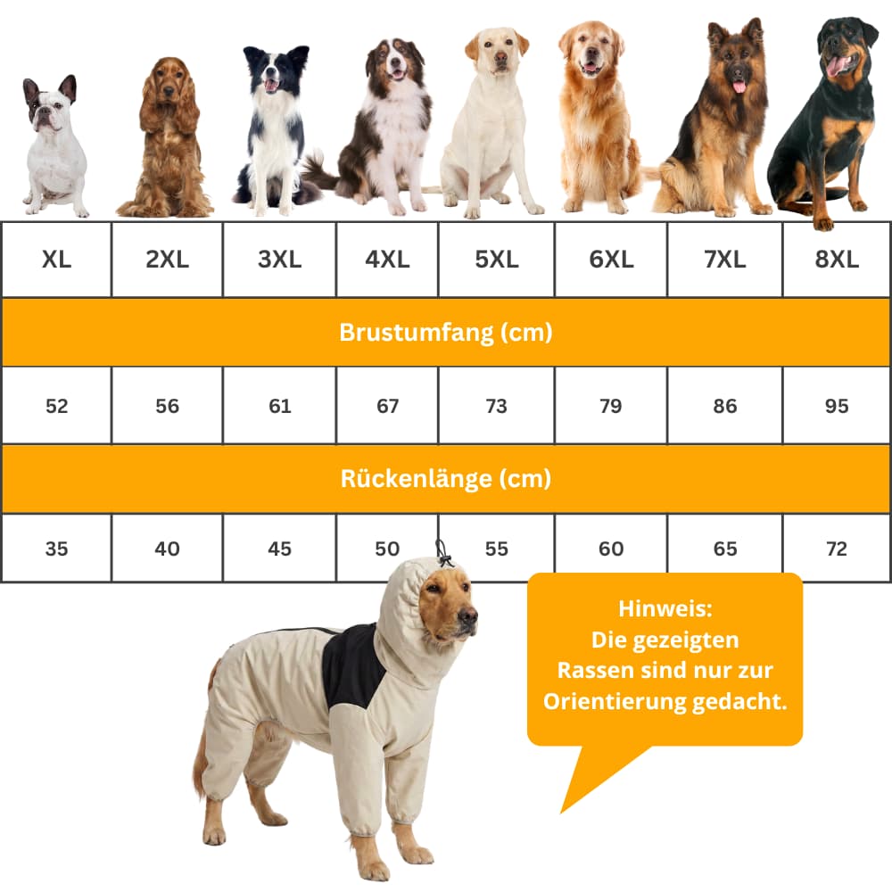 StormGuard – Rain & Wind Protection For Dogs