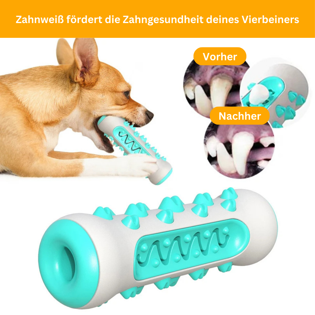 Dog Teeth Whitening – The Indestructible Companion for Clean and Healthy Teeth