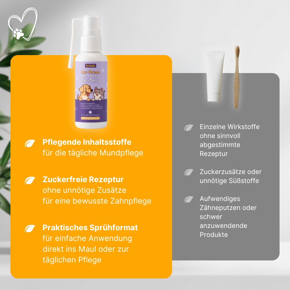 ToothBalance Dental Care Spray