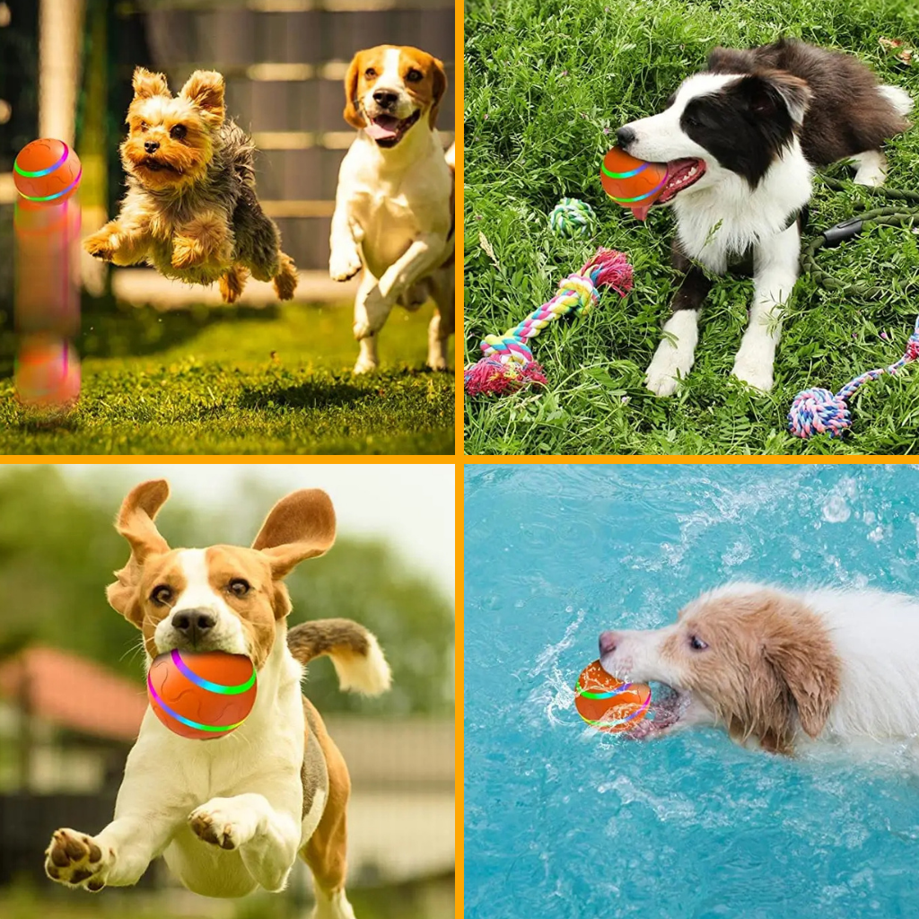 Active Rolling Ball for Dogs