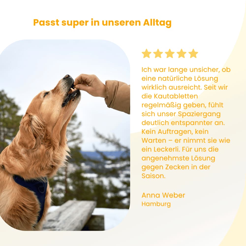 Flea & Tick Protection Chewable Tablets