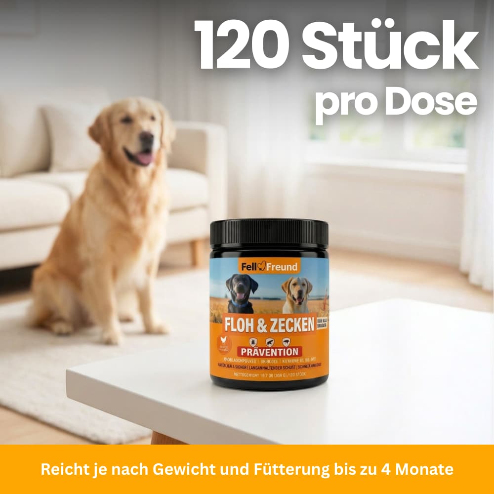 FellFreund Flea & Tick Protection Duo