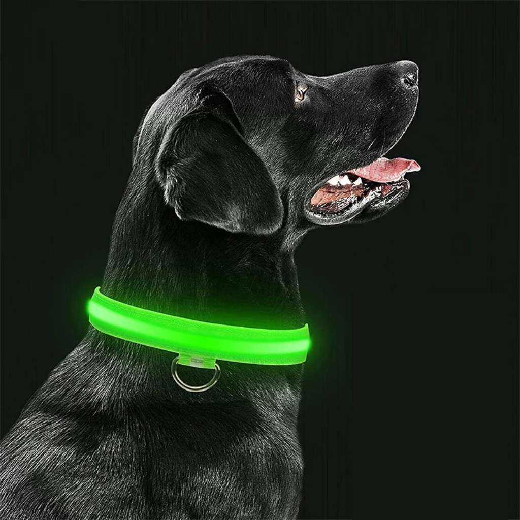 LED Light-Up Dog Collar