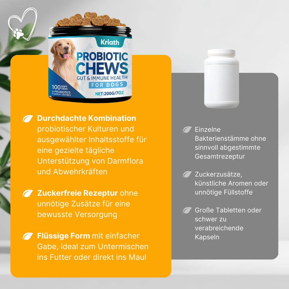 Dog Probiotics for Gut & Immune System