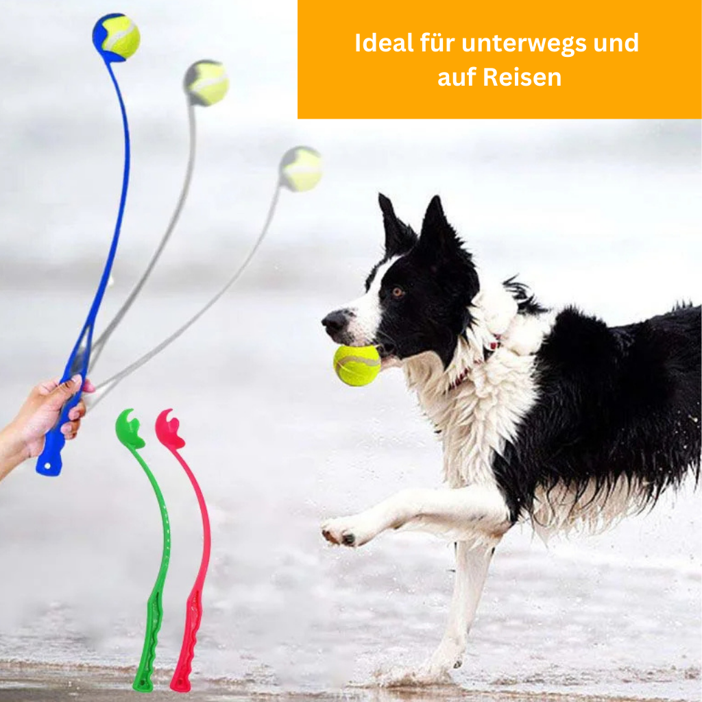 FetchMaster Ball Launcher