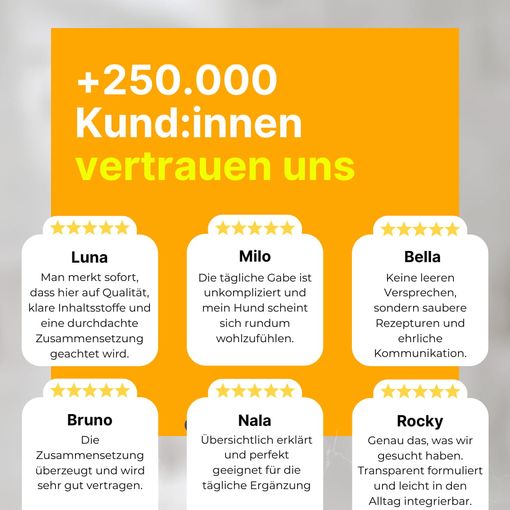 Daily Gut Flora Probiotics For Dogs