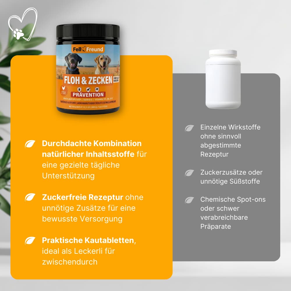 FellFreund Flea & Tick Protection Duo