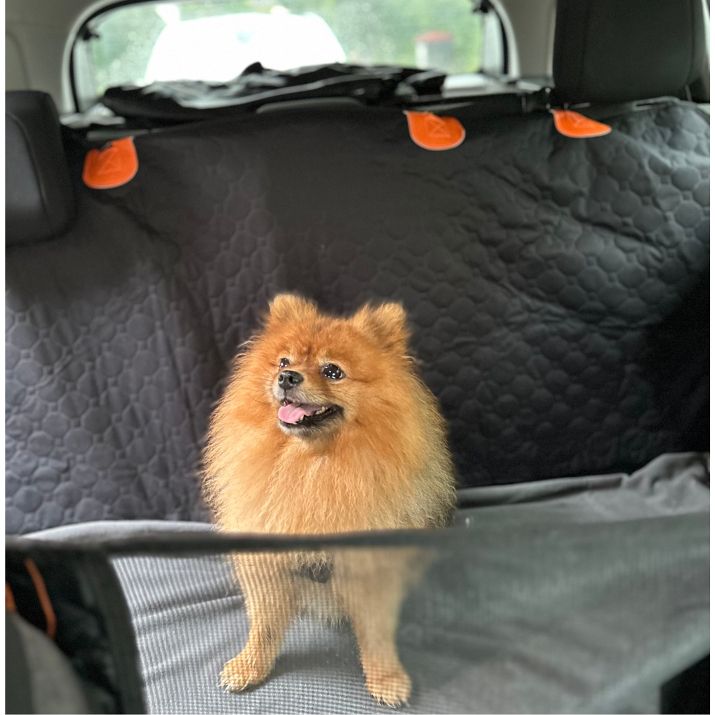 Stable Backseat Protector – Bundle