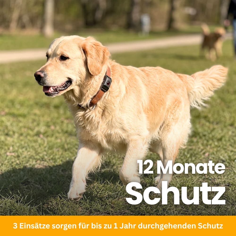 TickGuard Refill – Replacement Inserts