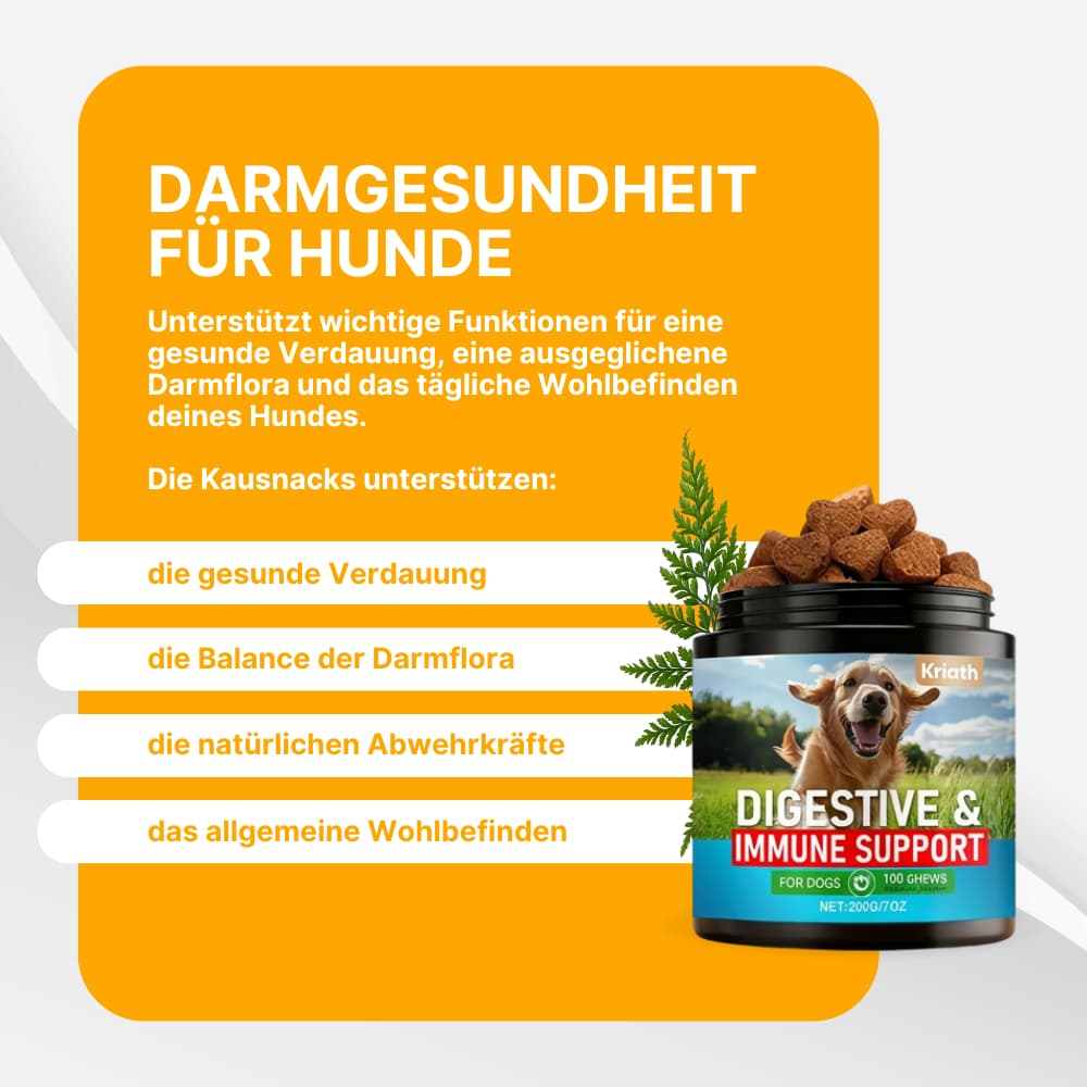 Probiotic Chews for Dogs – Gut & Immune System Support