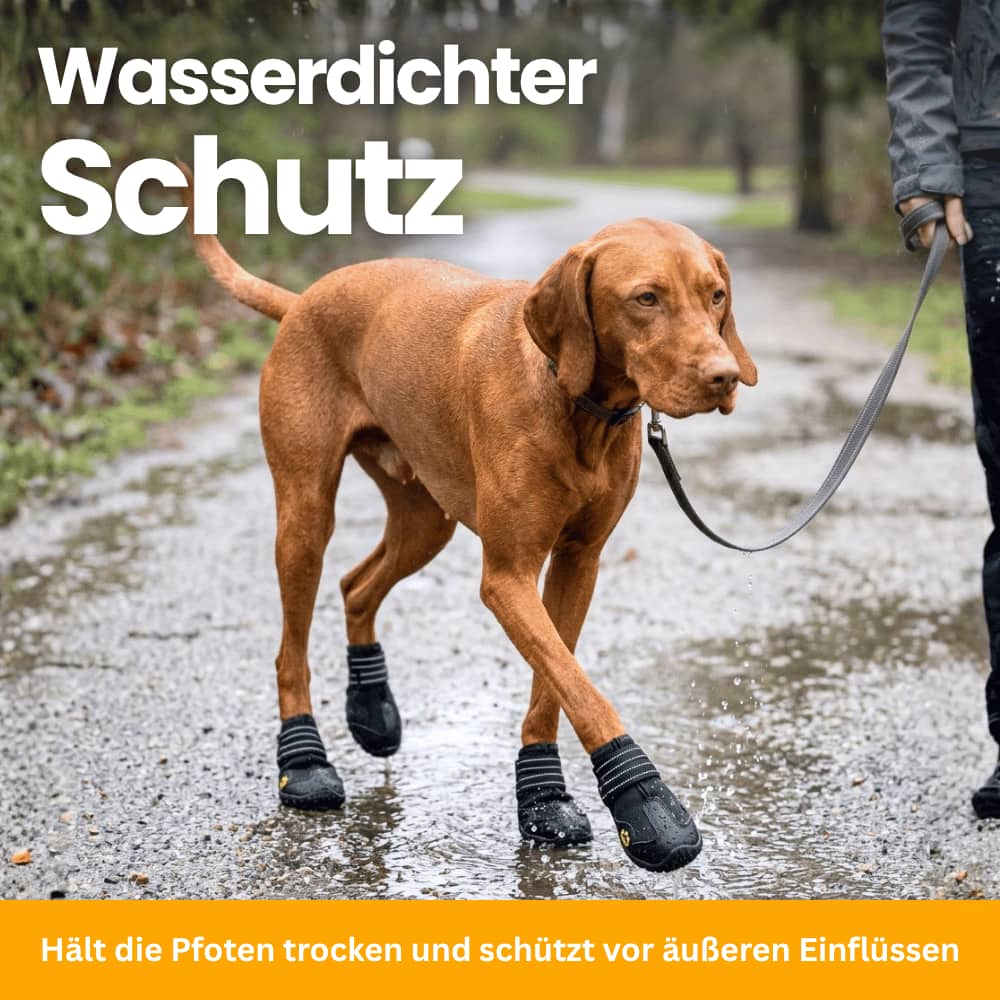 PawProtect Boots