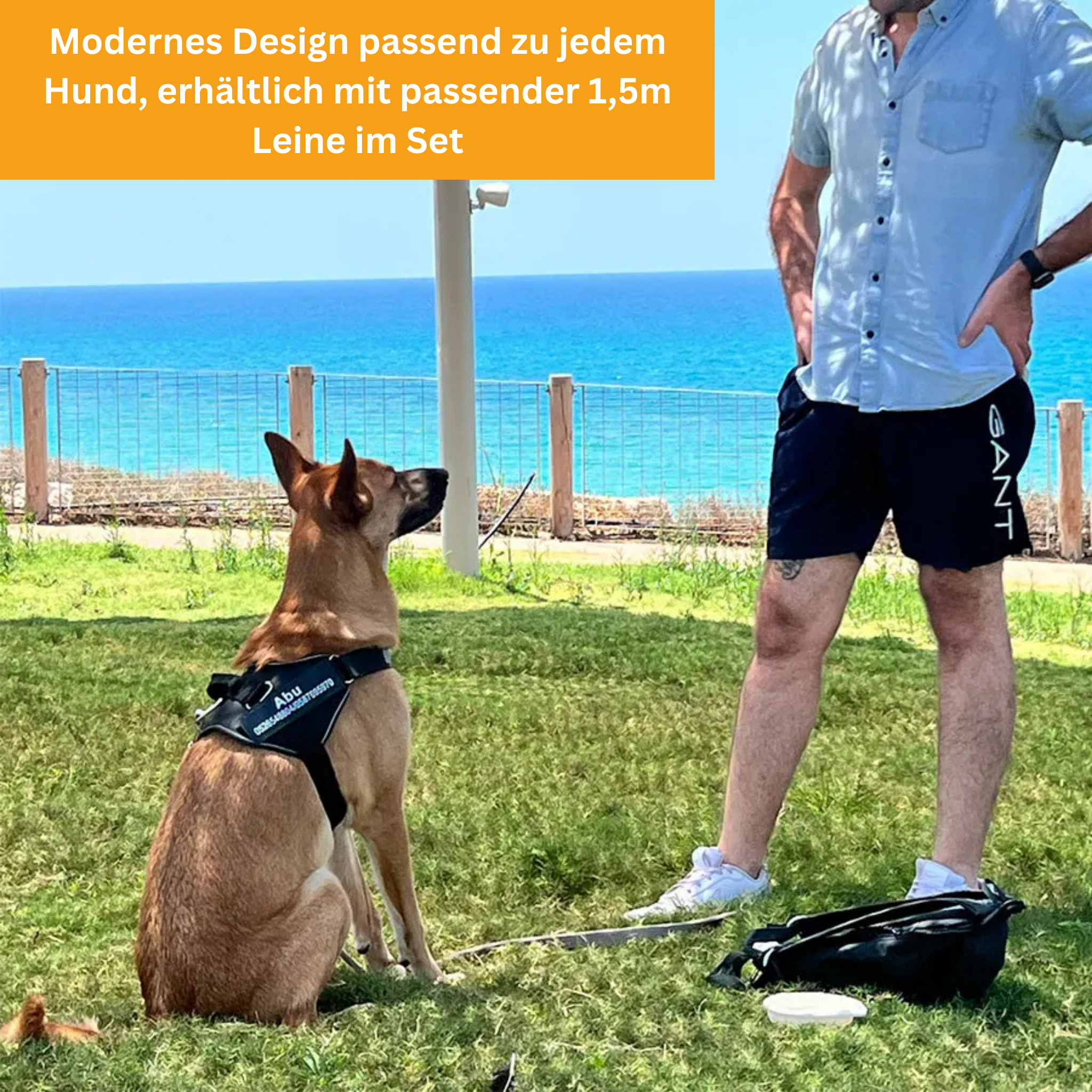 Personalized No-Pull Dog Harness