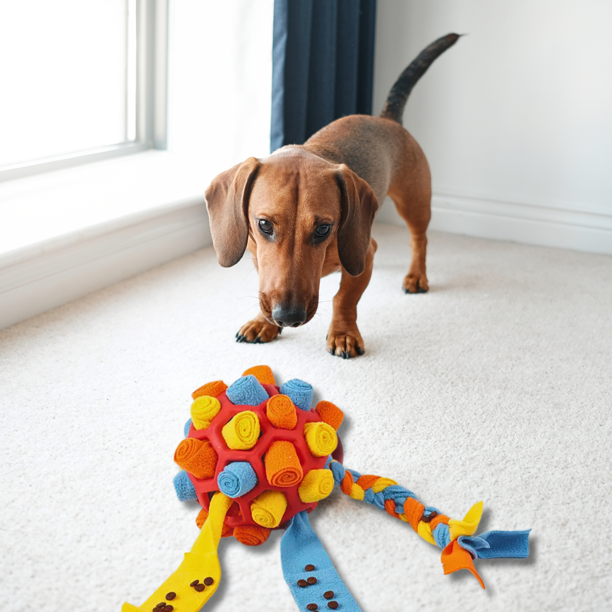 Snuffle Ball – Interactive Treat Toy