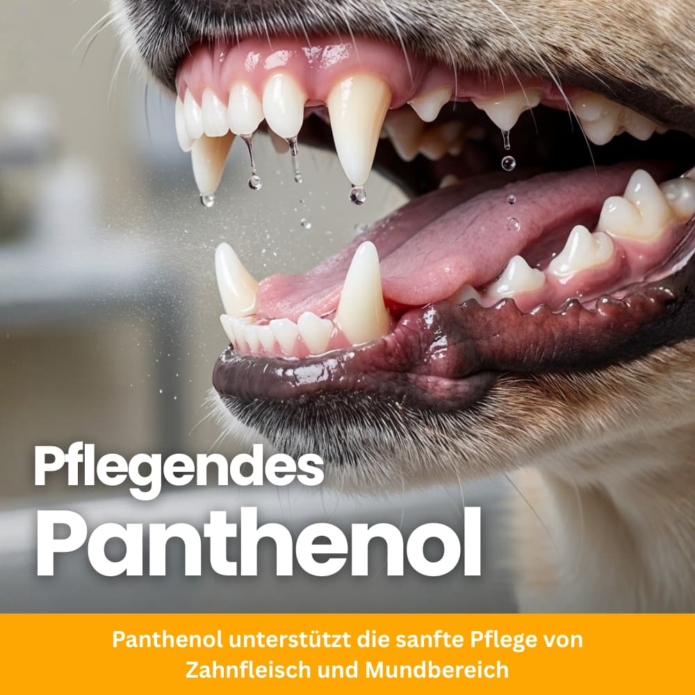 ToothBalance Dental Care Spray