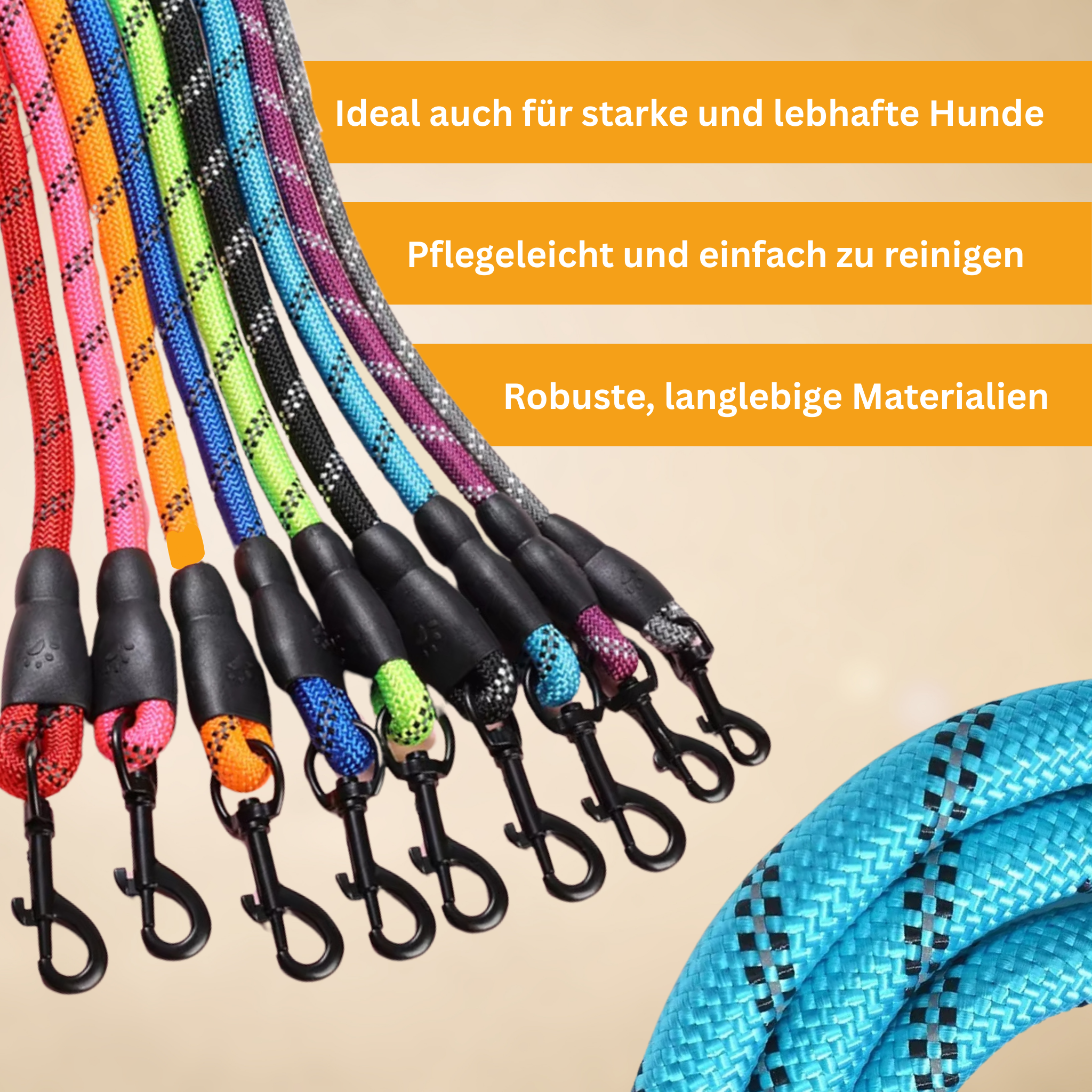 Personalized No-Pull Dog Harness