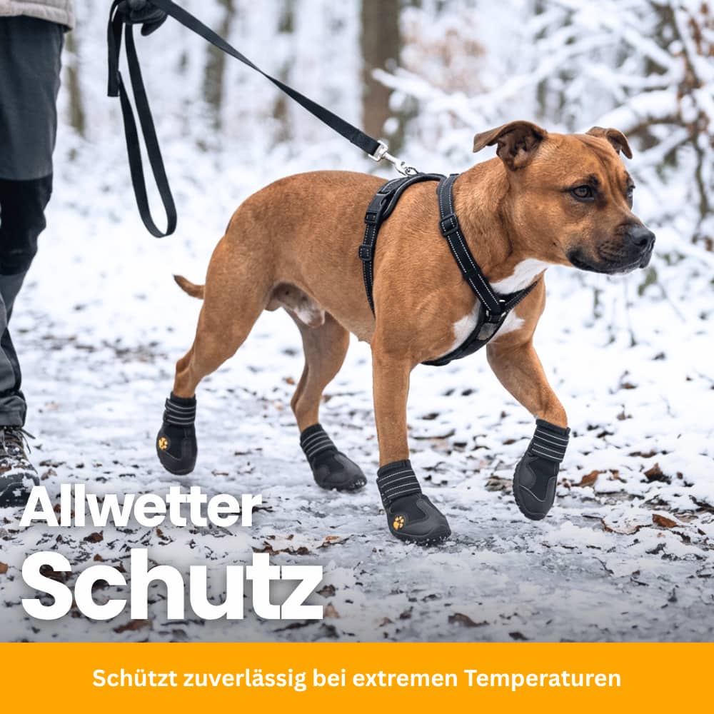 PawProtect Boots