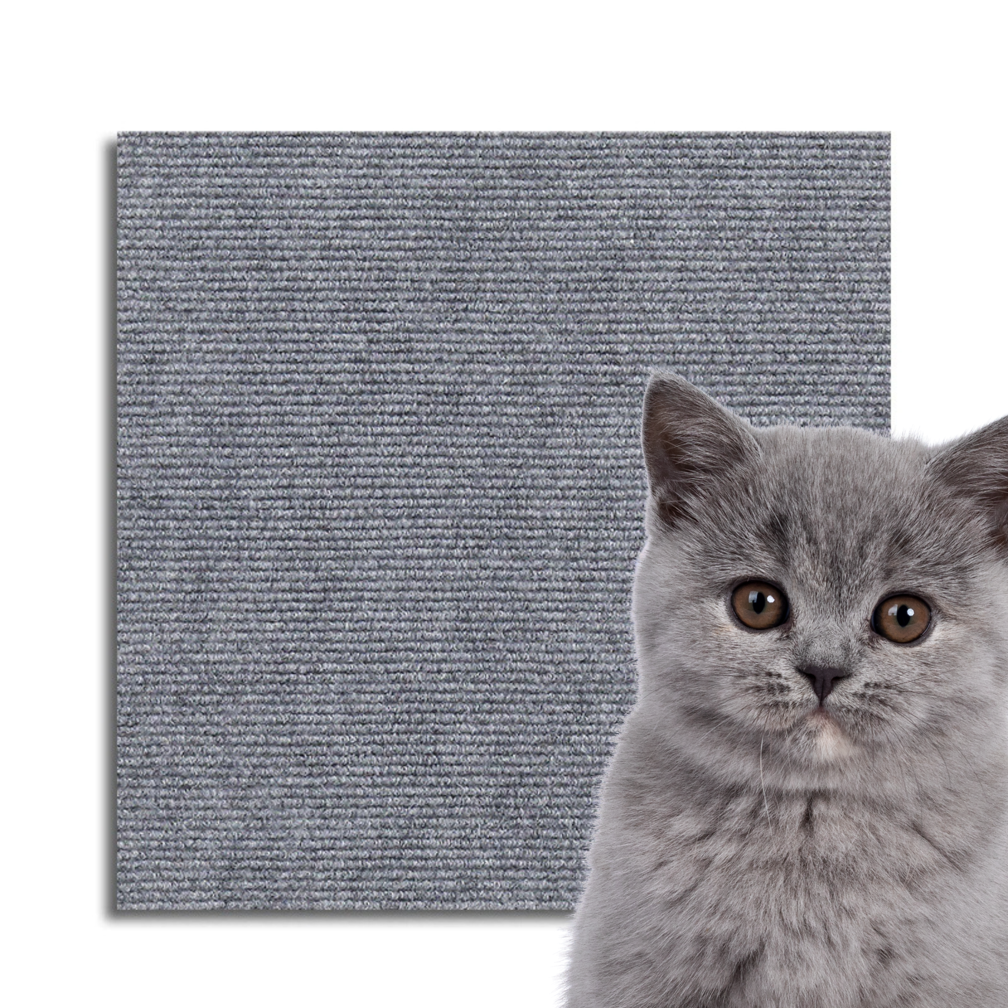 Universal Cat Scratch Guard