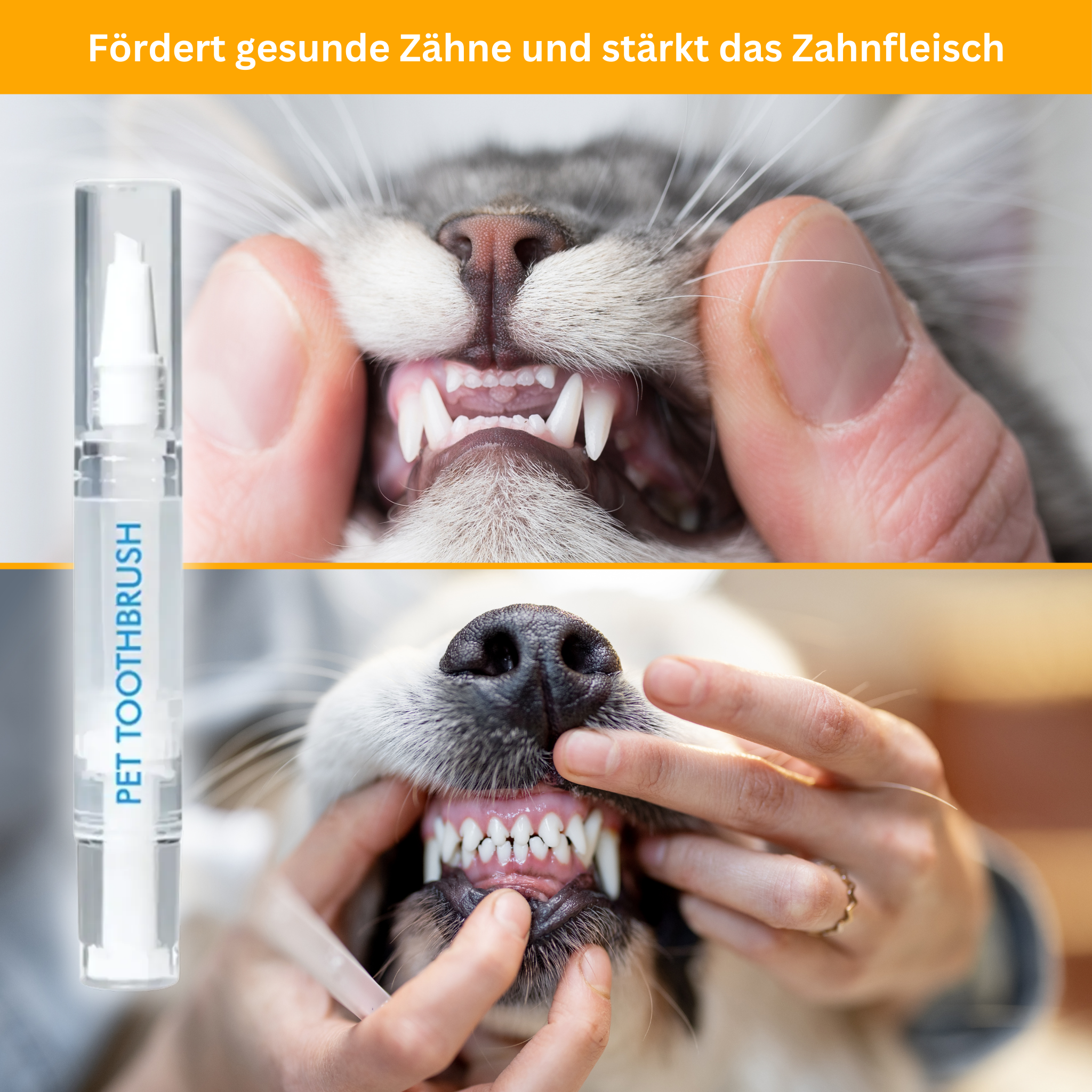 Dental Care Pen for Pets