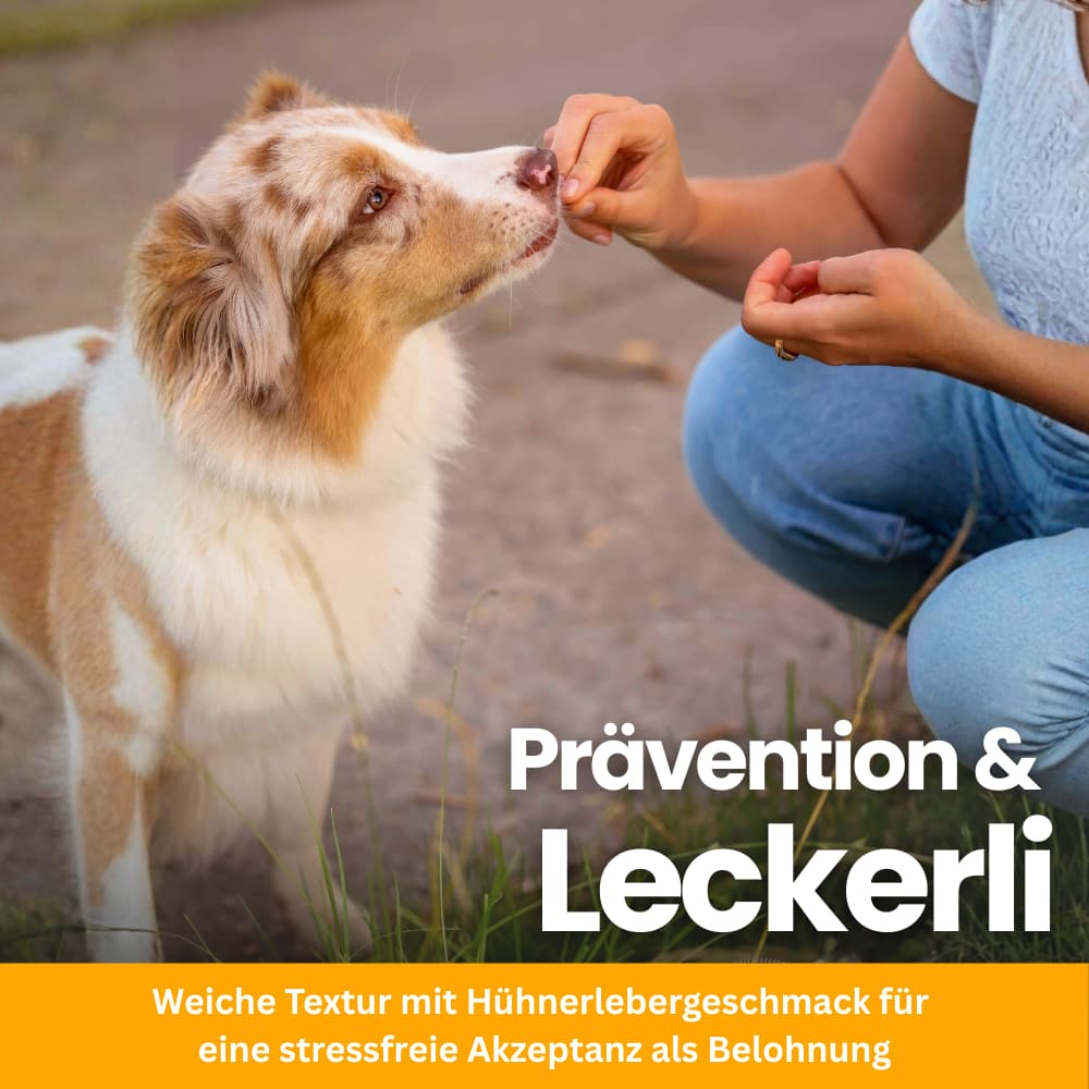 Flea & Tick Protection Chewable Tablets