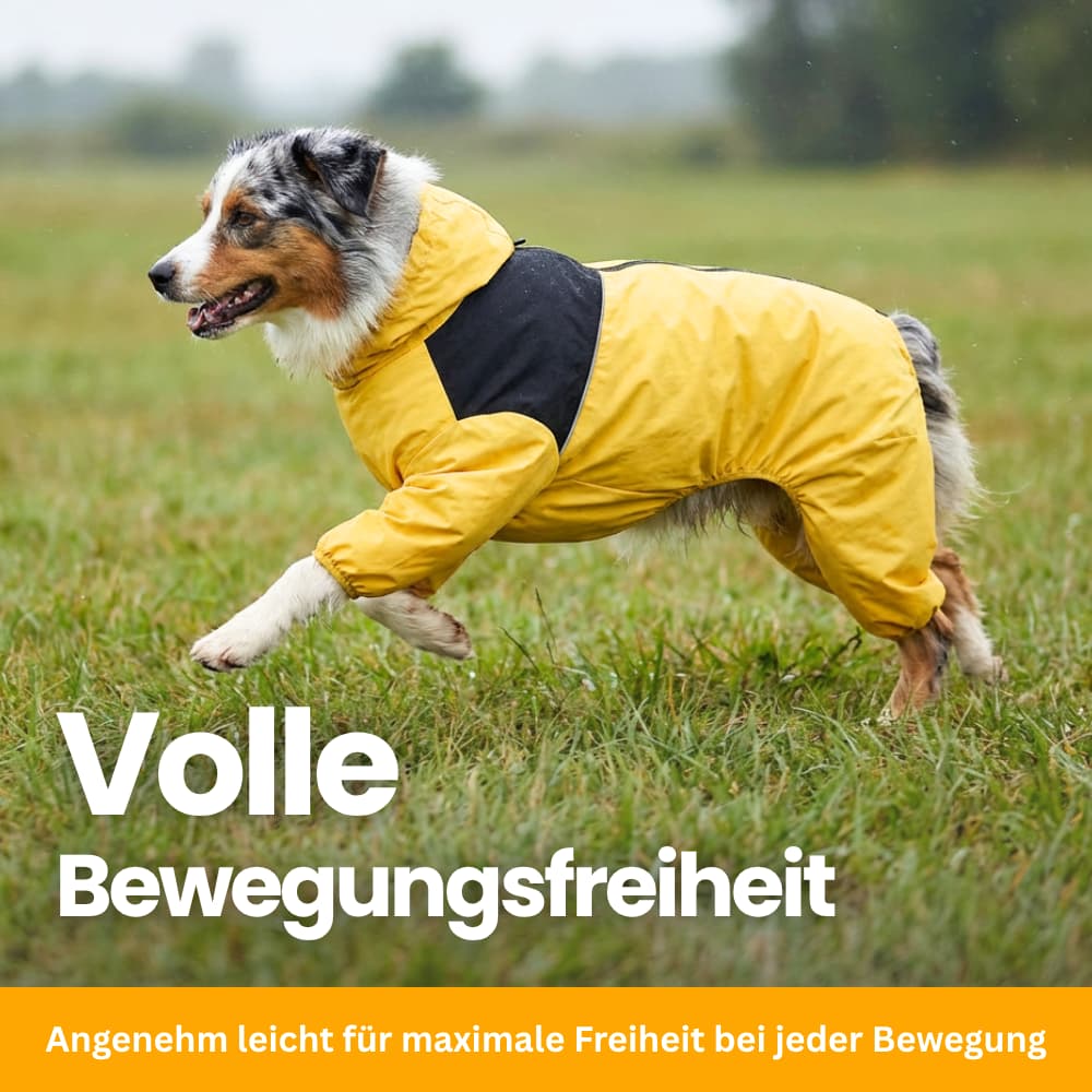 StormGuard – Rain & Wind Protection For Dogs