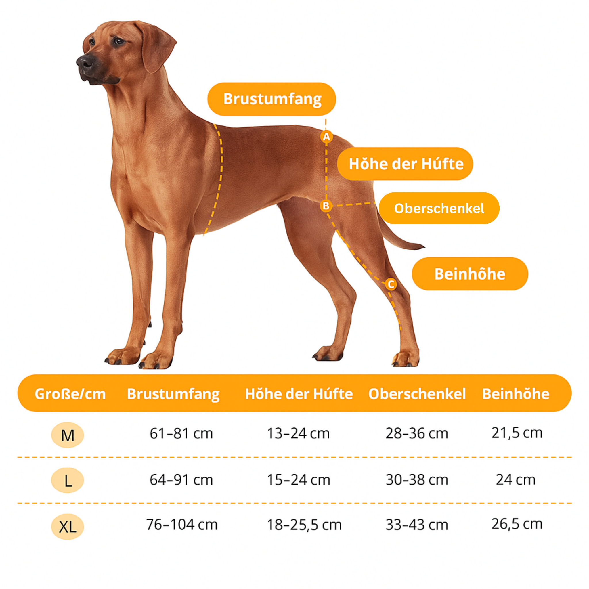 DualBrace – Hinged Leg Brace