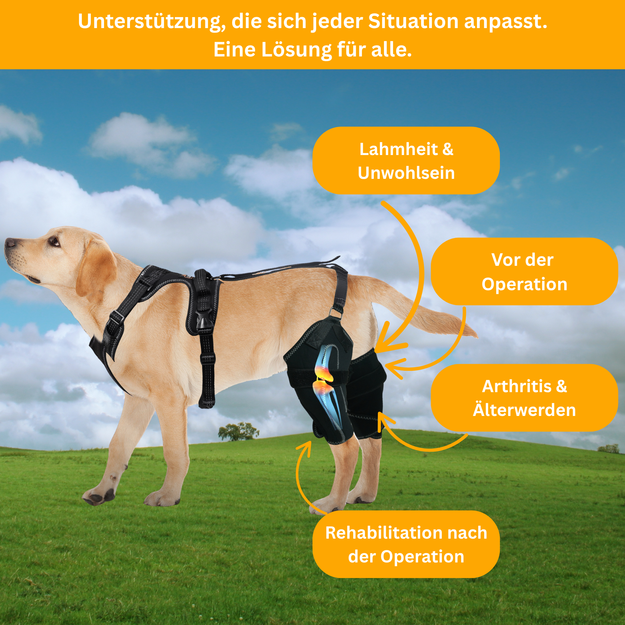 DualBrace – Hinged Leg Brace