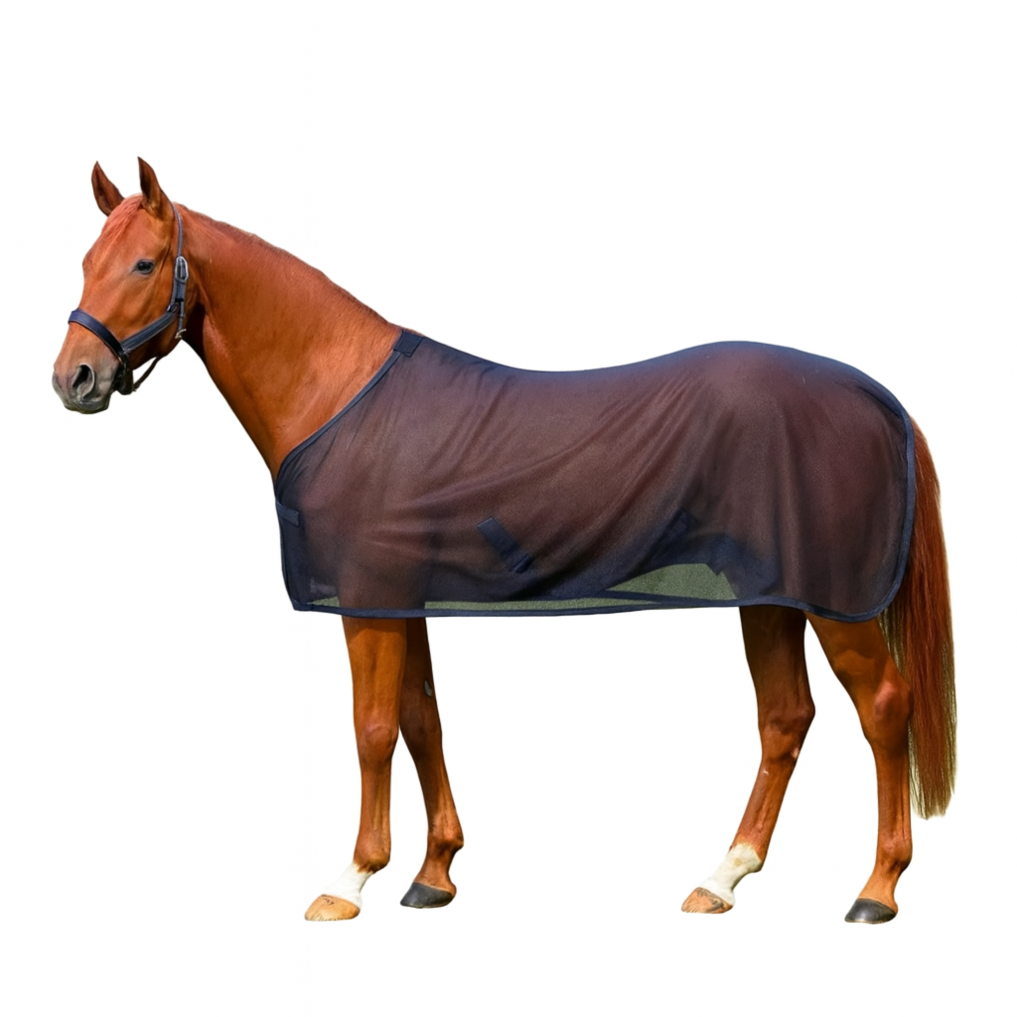 InsectSafe – Adjustable Protective Vest Against Mosquitoes & Sun