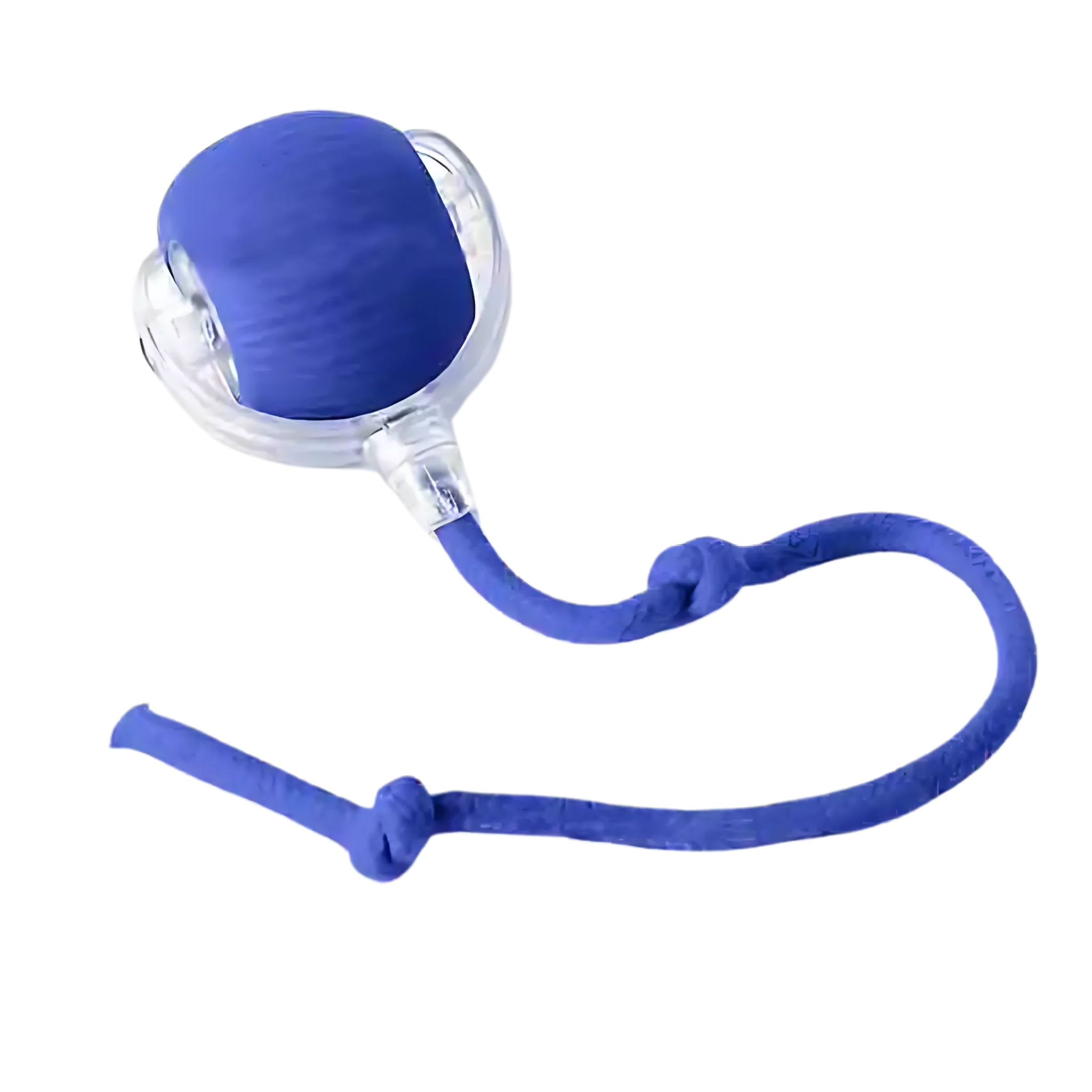 Interactive Tail Ball for Cats