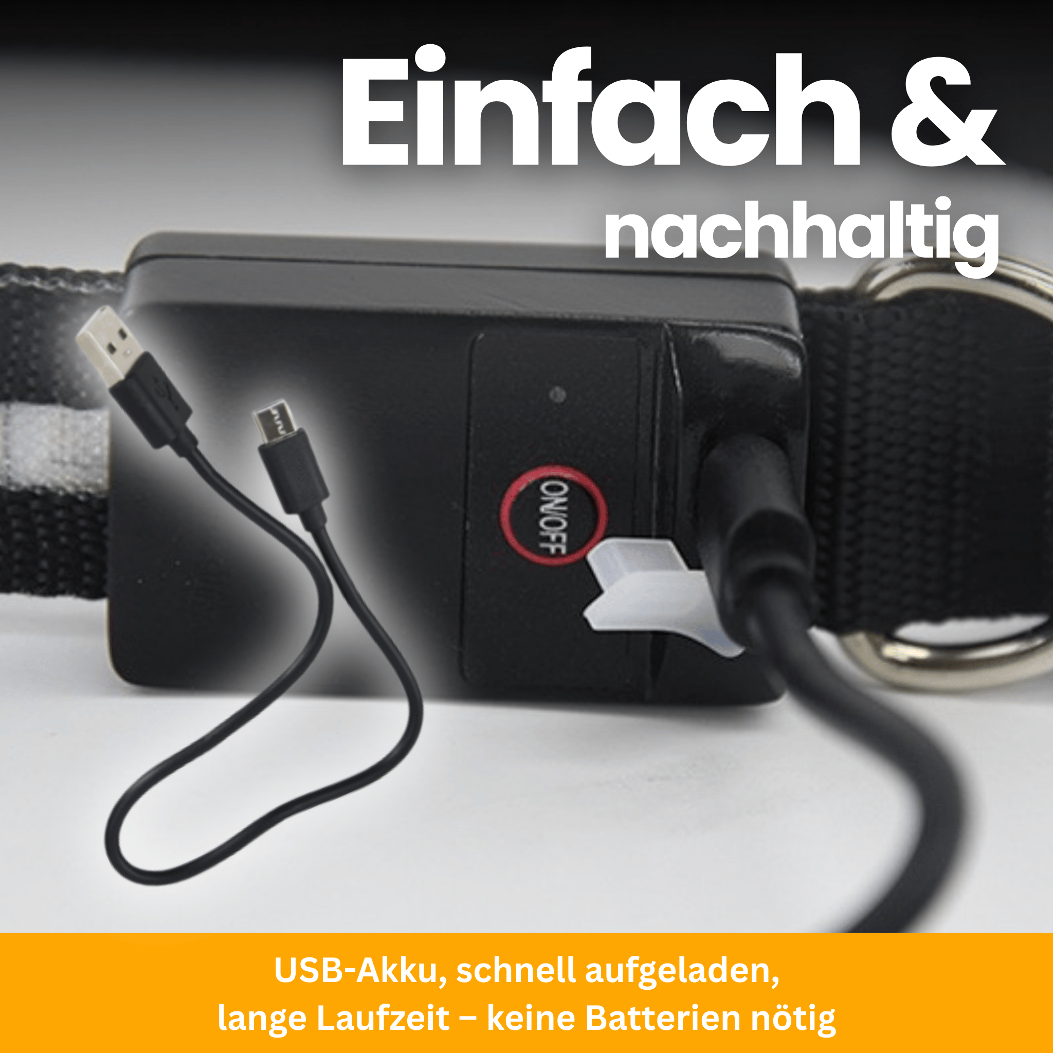 LED Light-Up Collar Pro