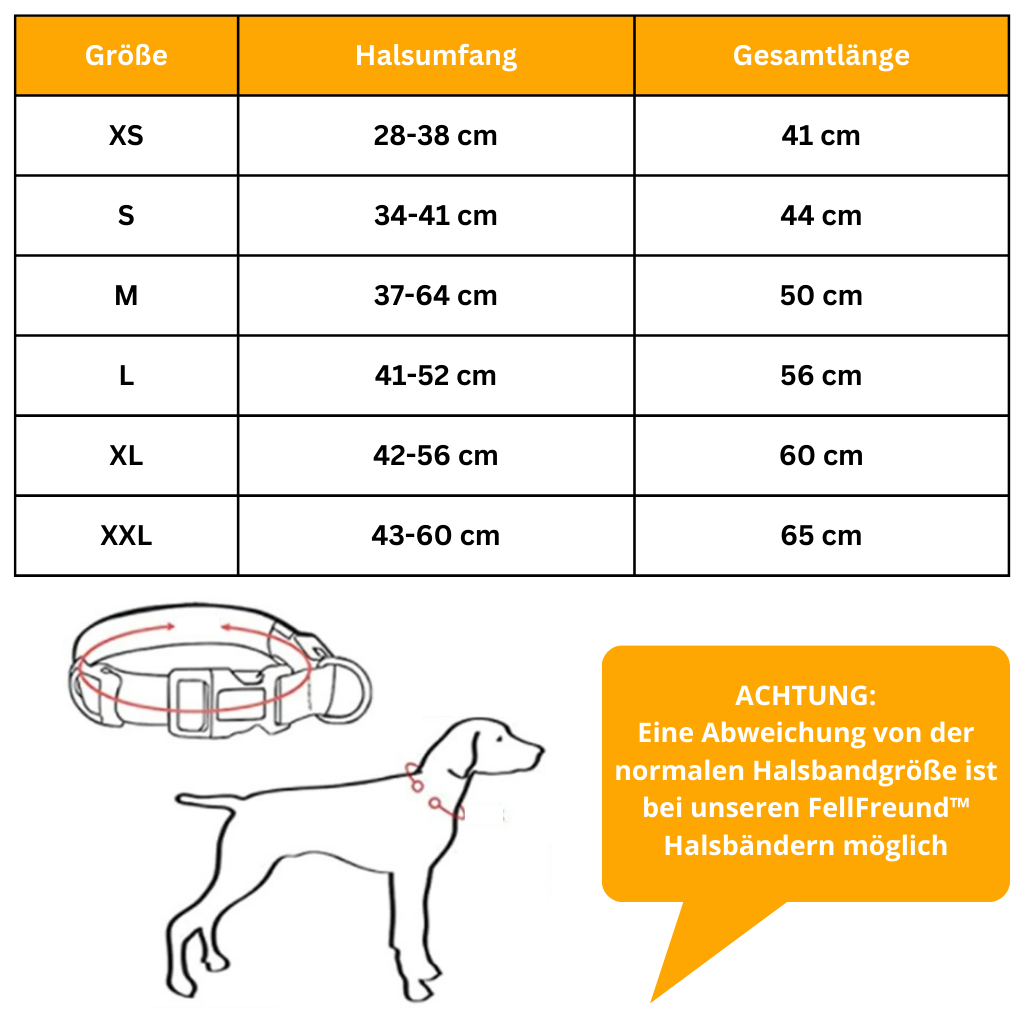LED Light-Up Dog Collar