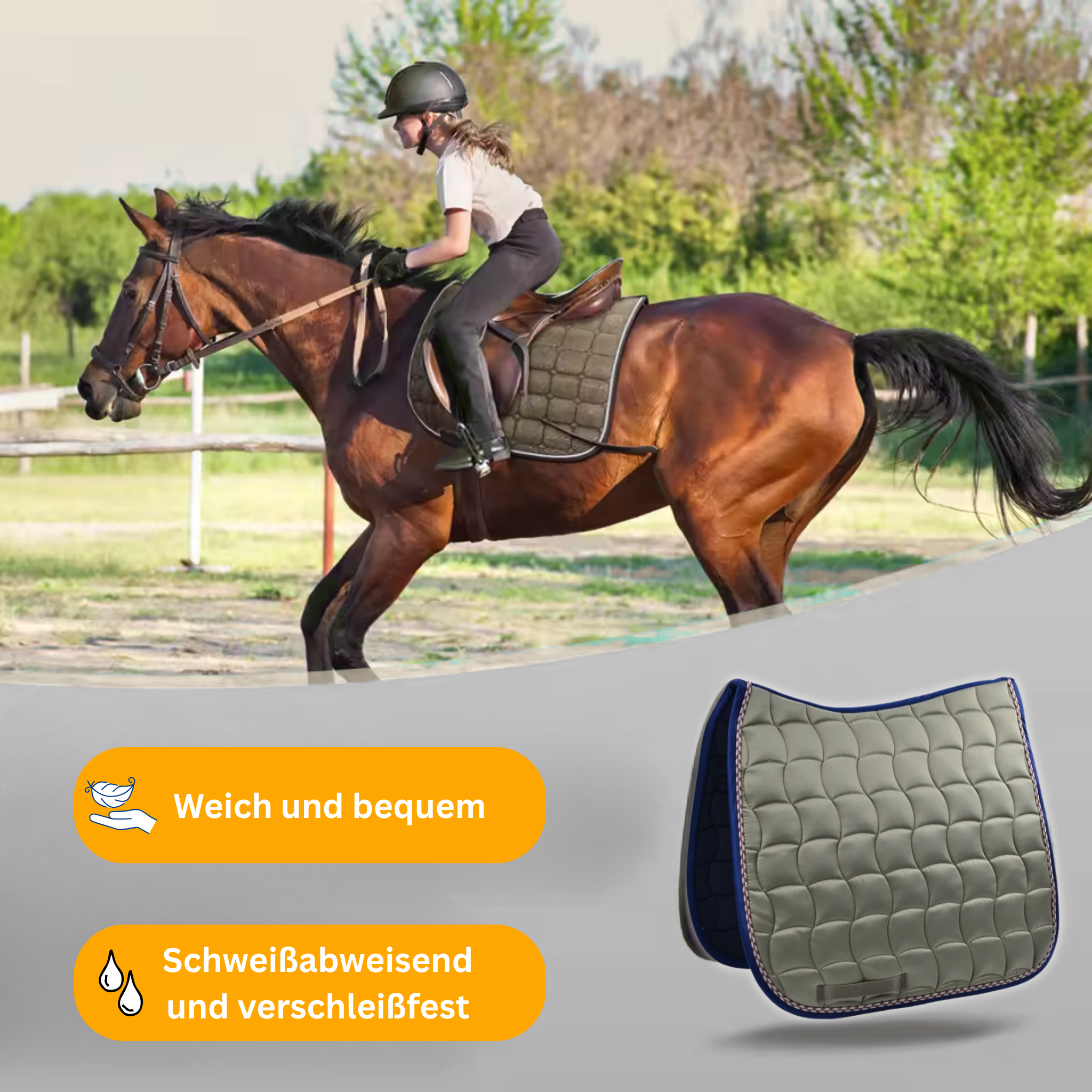 NoblePad – Premium Dressage Saddle Pad for Horses