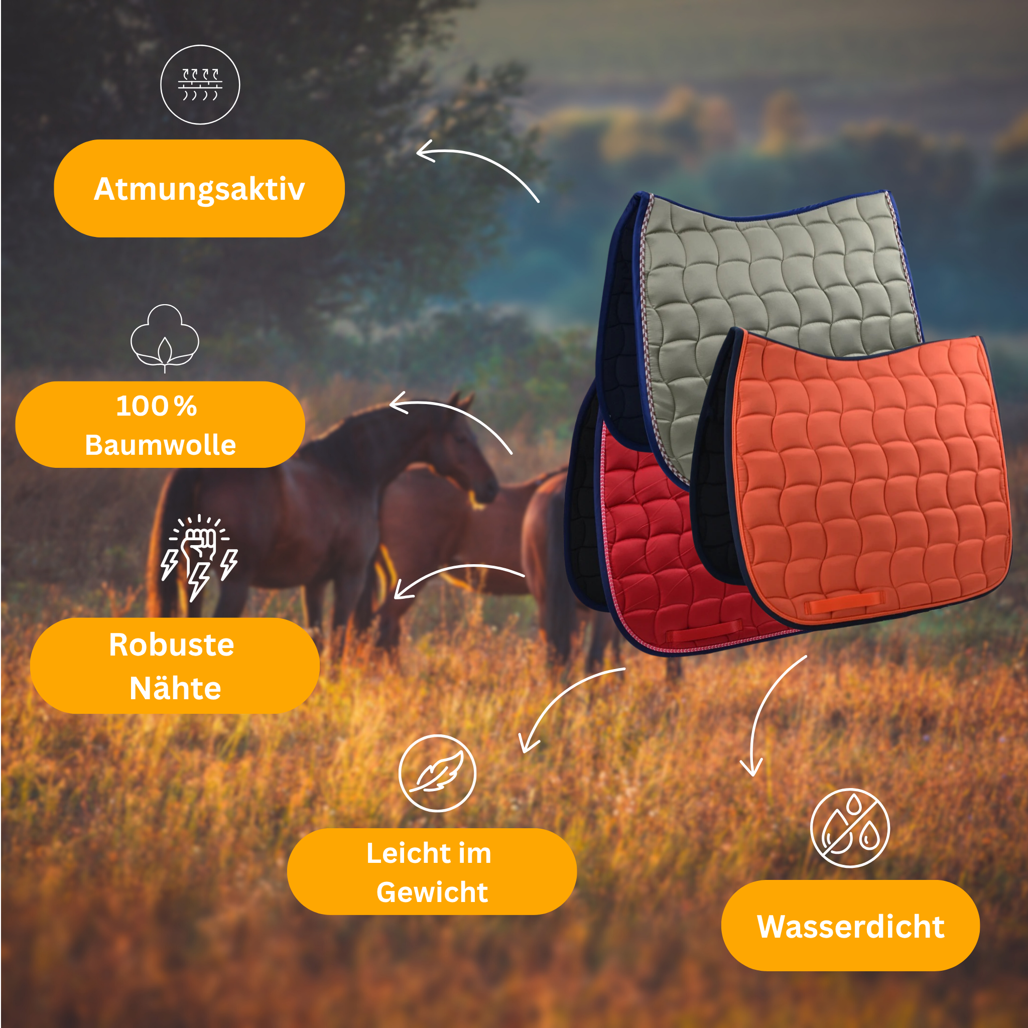 NoblePad – Premium Dressage Saddle Pad for Horses