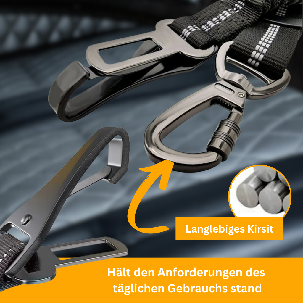 PetSecure 3-in-1 Safety Harness