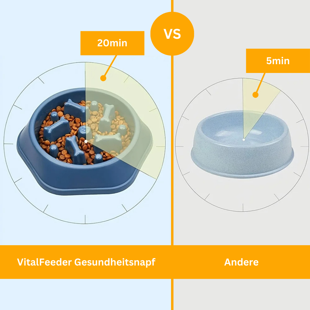 VitalFeeder – Health Bowl