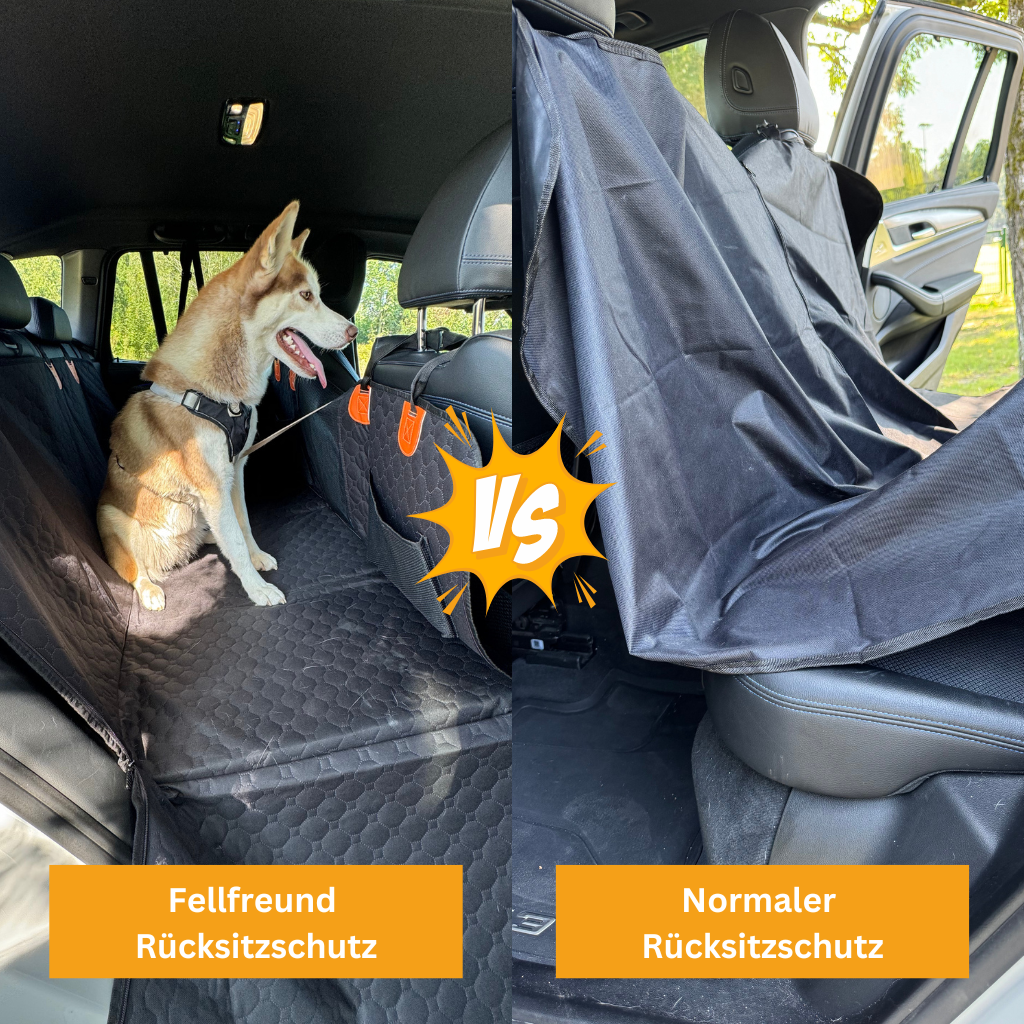 Stable Backseat Protector – Bundle