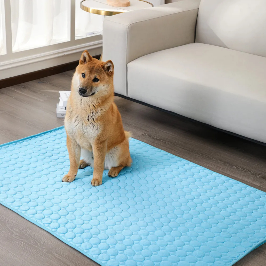 Premium Cooling Mat for Dogs