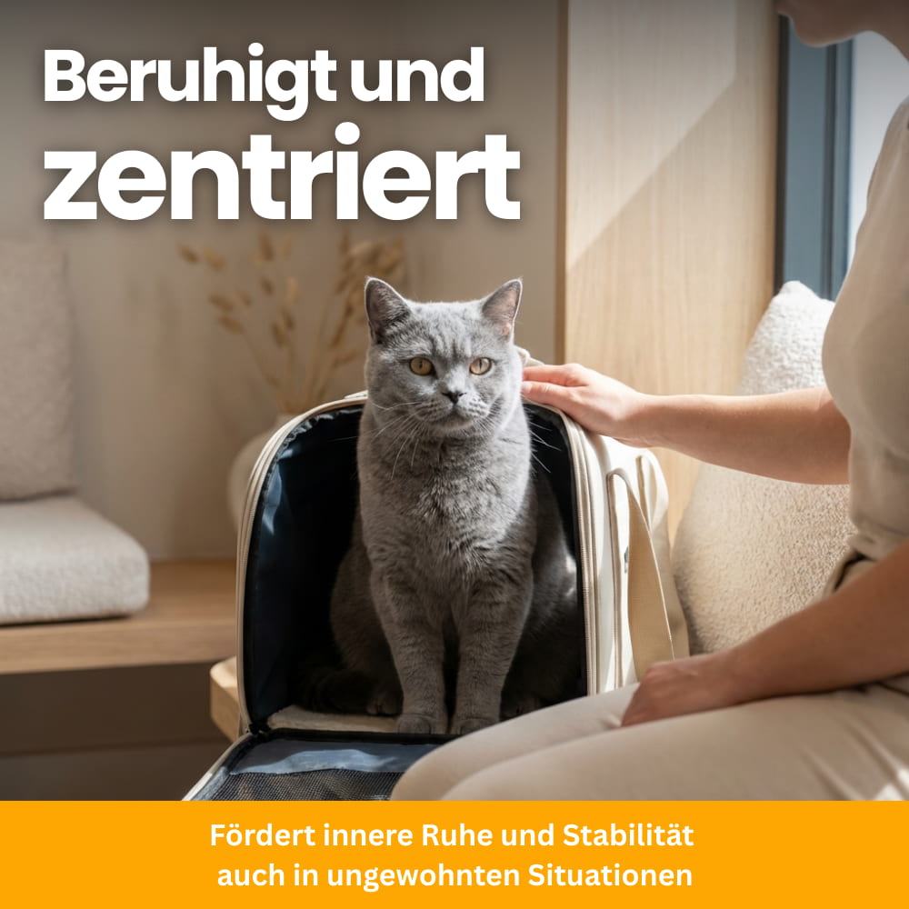 Cat Nutrient Powder for Coat & Skin