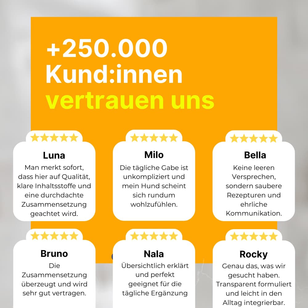 Urinary Tract Care Drops for Dogs & Cats