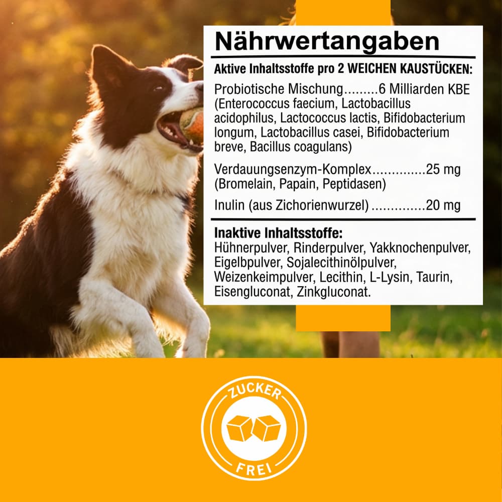 Dog Probiotic Soft Chews for Digestion & Immune Support