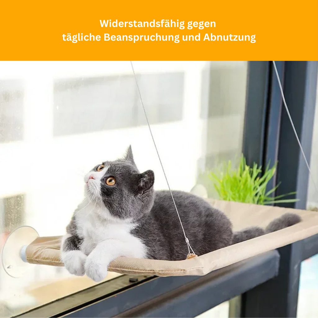 Cat Hammock – Chill