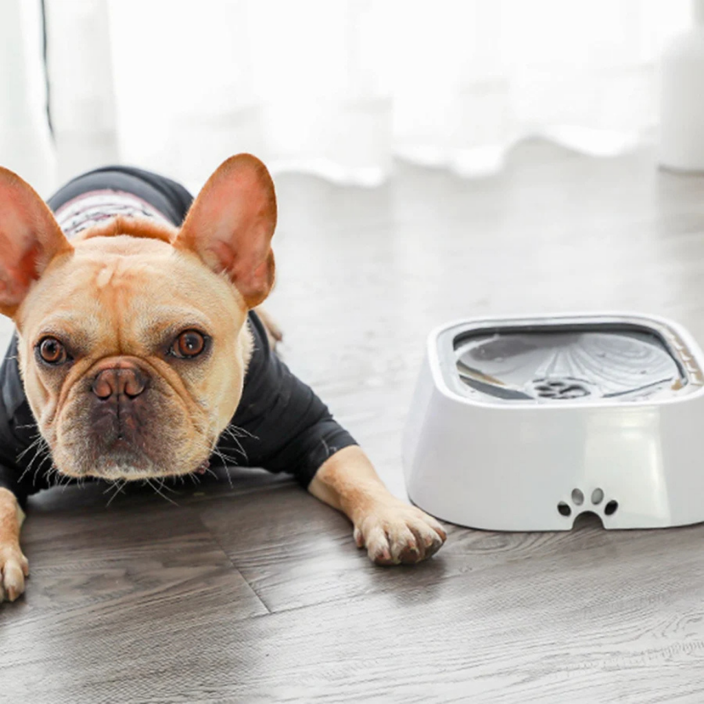 Leak-Proof Pet Water Bowl