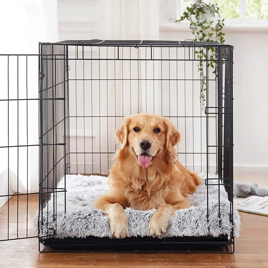 Orthocloud – Orthopedic Dog Bed for Healthy Joints