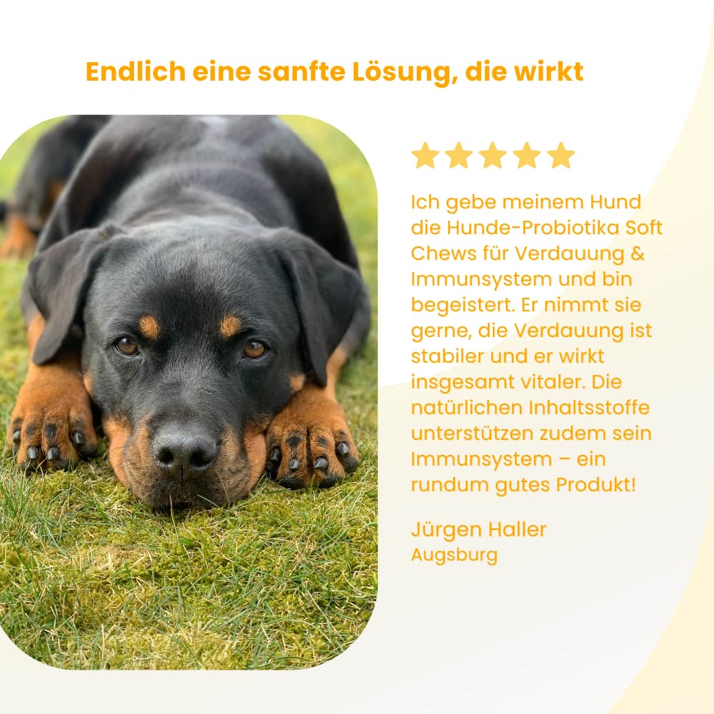 Dog Probiotic Soft Chews for Digestion & Immune Support