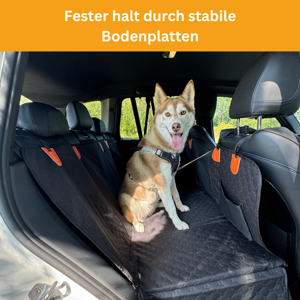 Stable Backseat Protector – Bundle