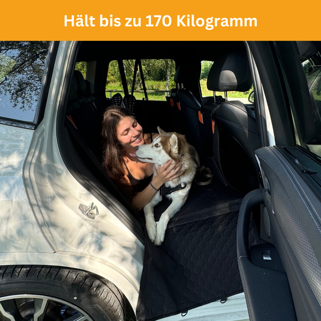 Stable Backseat Protector – Bundle