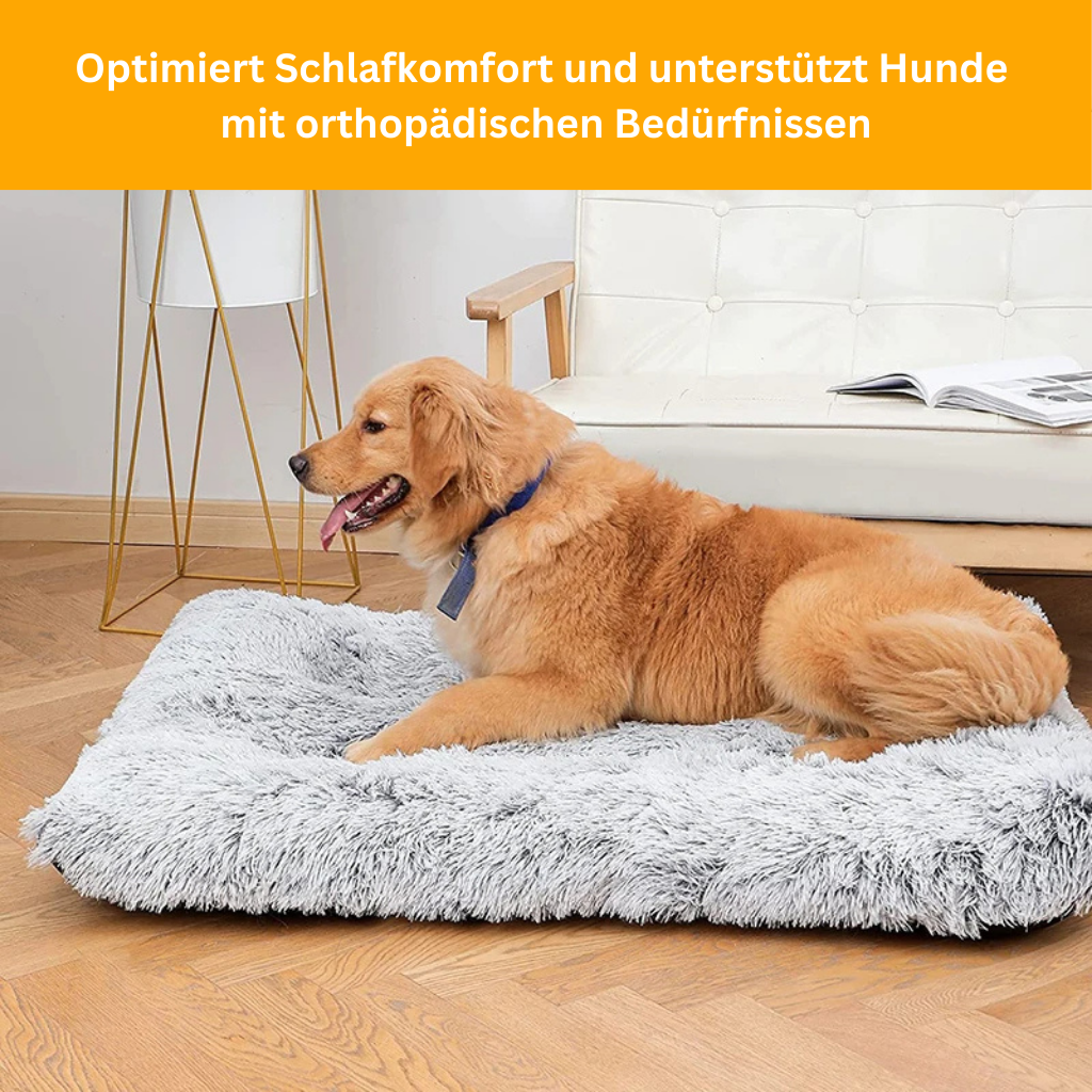 Orthocloud – Orthopedic Dog Bed for Healthy Joints
