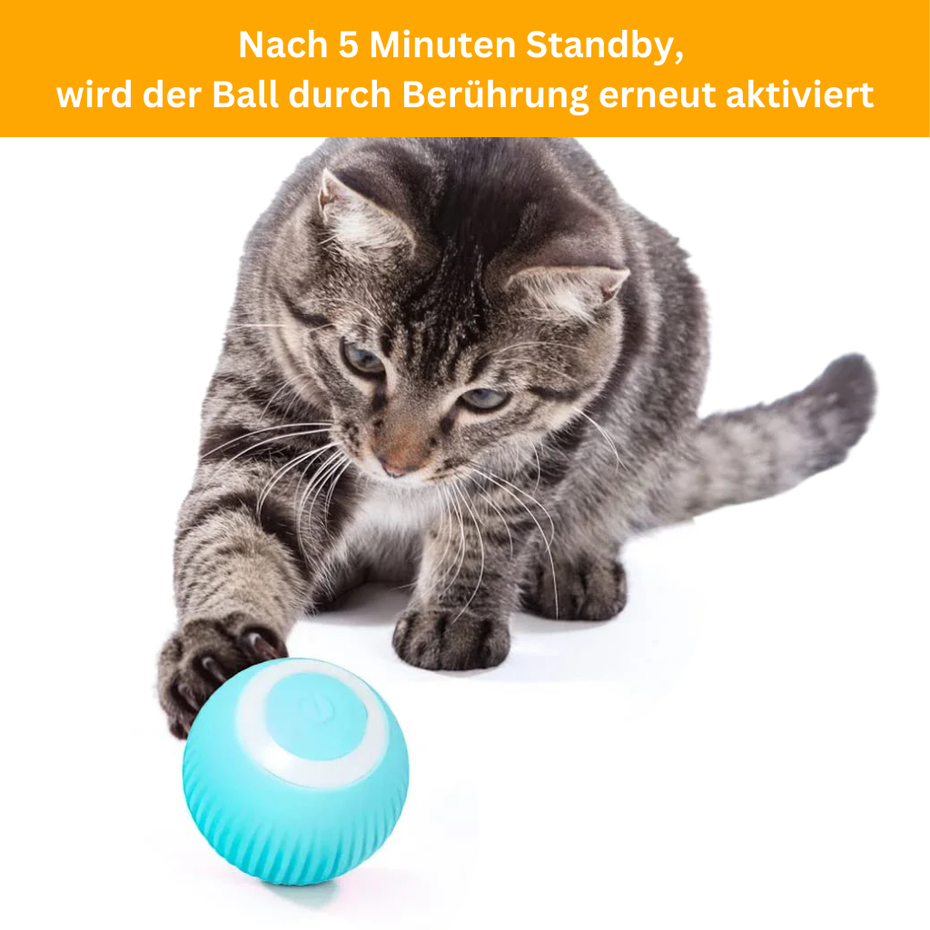 PowerBall 2.0 – Smart Cat Toy