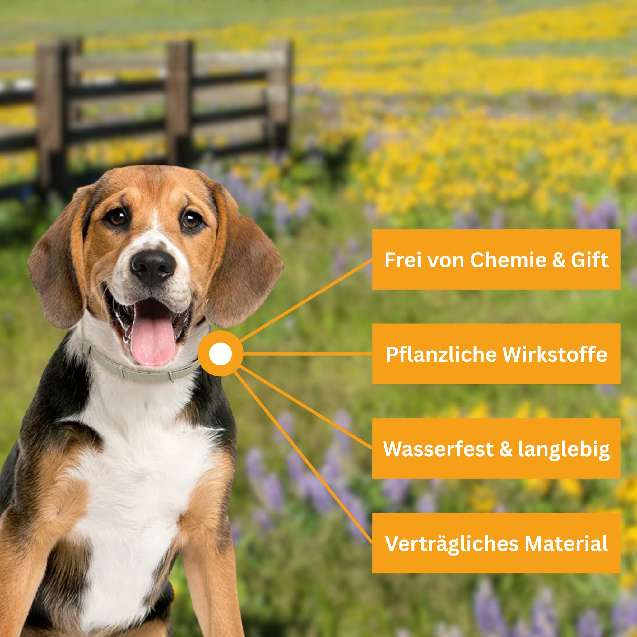 Flea and tick protection collar for dogs [Double-Up Offer]