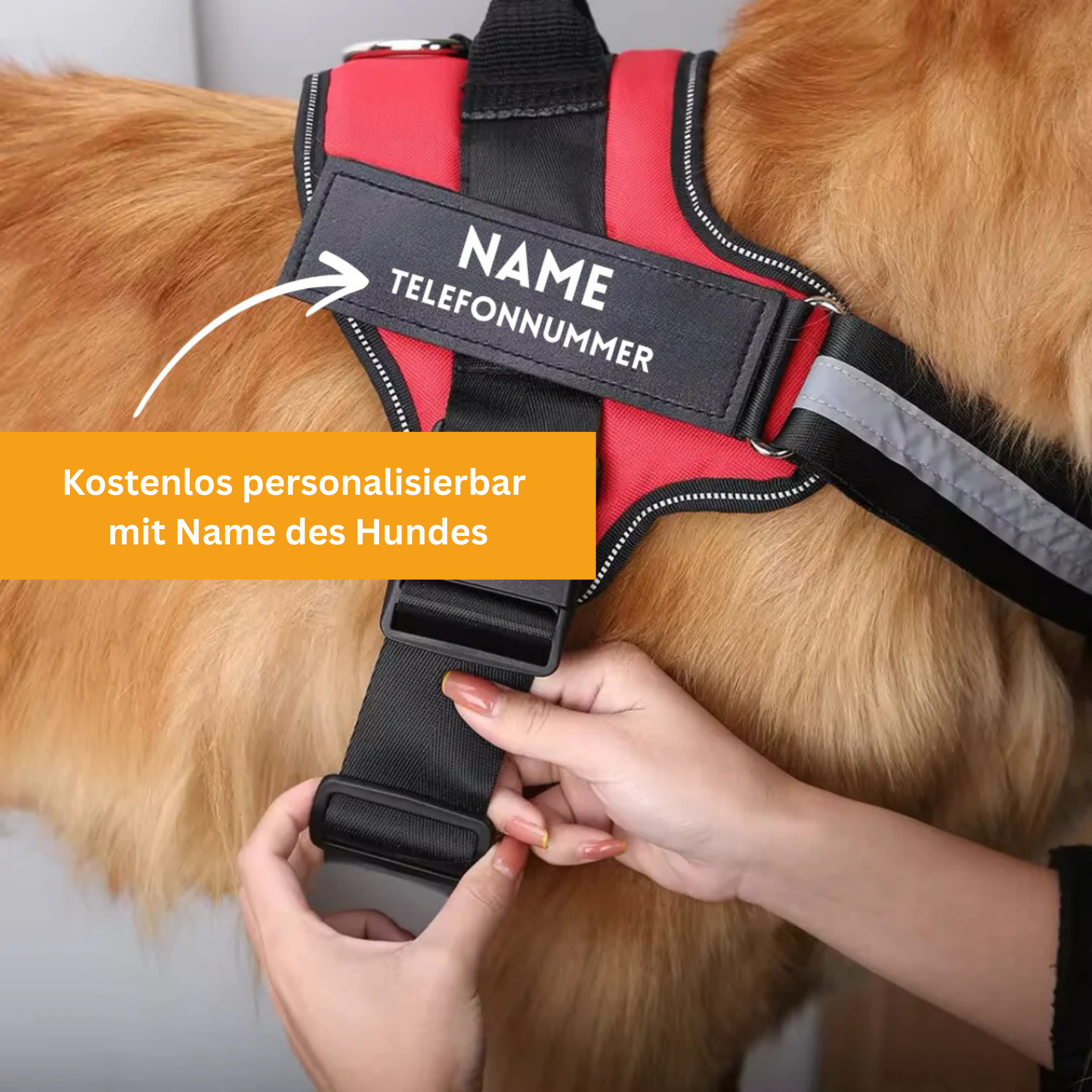 Personalized No-Pull Dog Harness